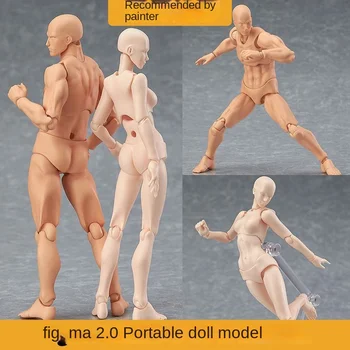 Artificial Cuerpo Humano Modelo para el Arte del Dibujo de Referencia: Masculino y Femenino Herramientas de Articulaciones Móviles Muñecos de Anime en la Figura