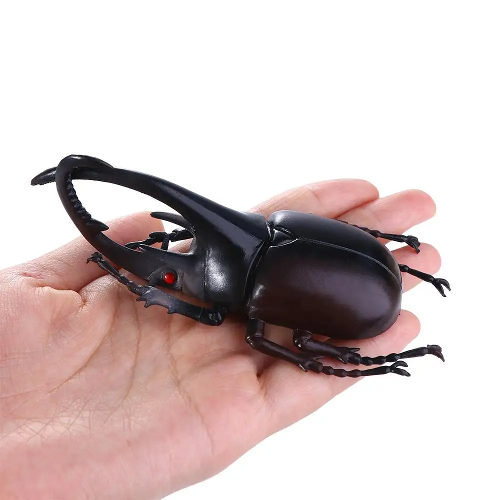 6 Estilo de 13cm de Simulación Escarabajo de Juguetes de plástico de Simulación Escarabajo conjunto Para niño Educativos juguetes de PVC . ' - ' . 1