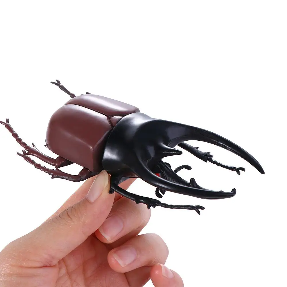 6 Estilo de 13cm de Simulación Escarabajo de Juguetes de plástico de Simulación Escarabajo conjunto Para niño Educativos juguetes de PVC . ' - ' . 4