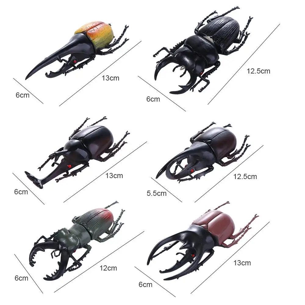 6 Estilo de 13cm de Simulación Escarabajo de Juguetes de plástico de Simulación Escarabajo conjunto Para niño Educativos juguetes de PVC . ' - ' . 5
