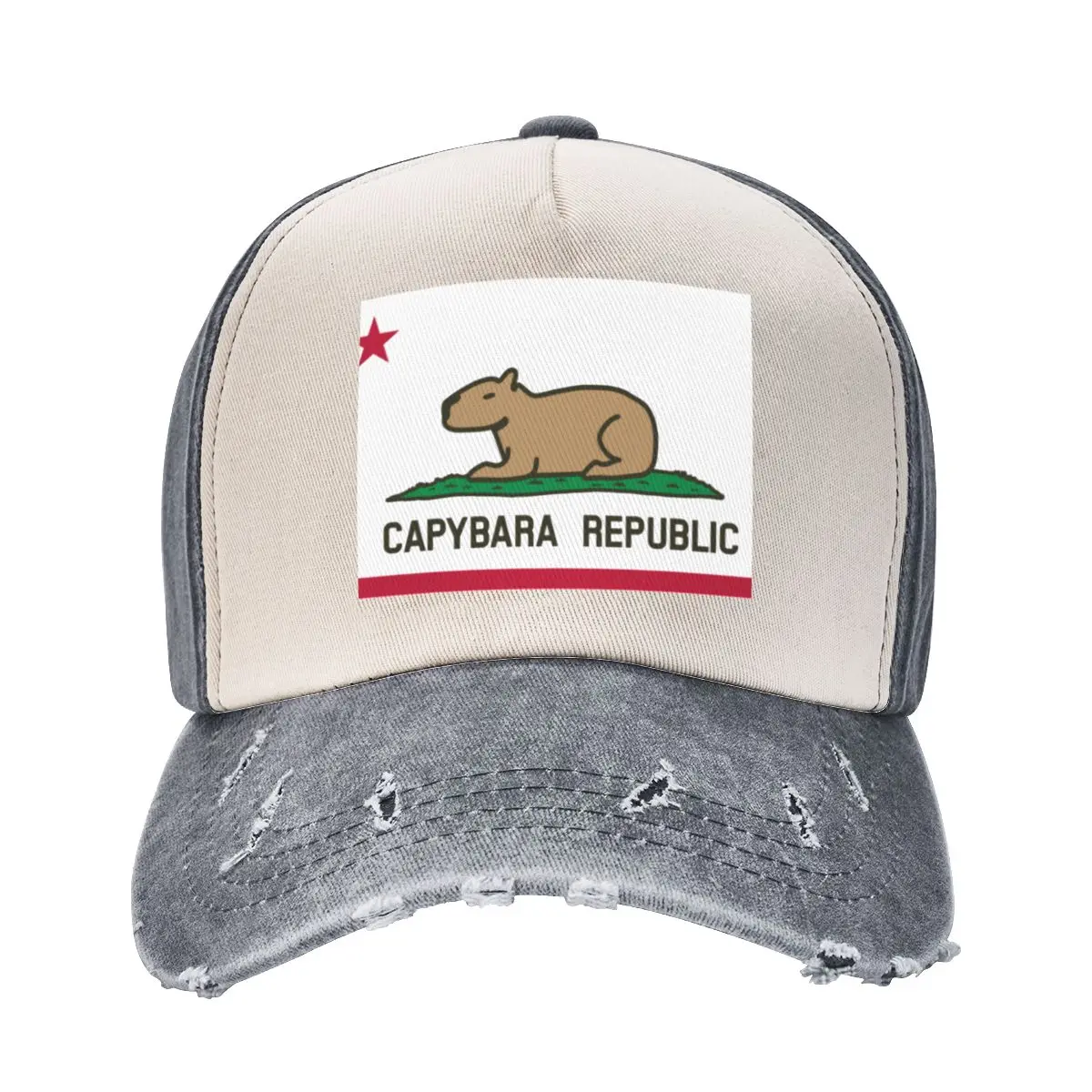 Capybara Bandera (relajado de la tierra versión) Sombrero de Vaquero Ropa de Marca Hombre Gorras de Mujer Sombreros de los Hombres . ' - ' . 1